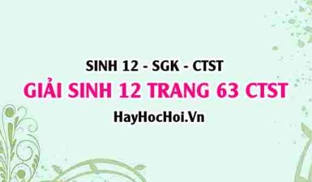 Giải Sinh 12 trang 63 Chân trời sáng tạo SGK